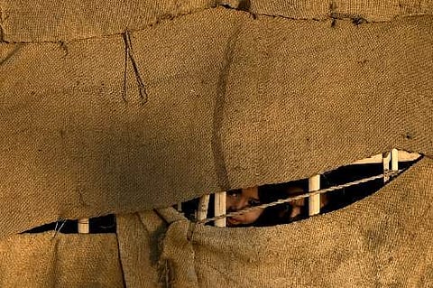 Young Rohingya refugee girls peep out from a makeshift shelter at a camp. (Representational Photo | AFP)