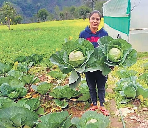 Snapshots of Babita at her field, posing with her produce and toiling the land.