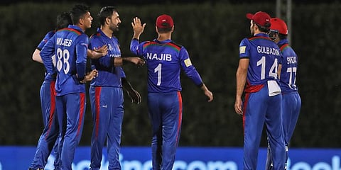 Afghanistan captain Mohammad Nabi celebrates a wicket with his teammates. (Photo | AP)