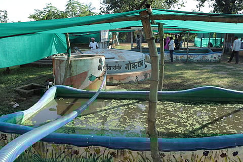 Gauthan where a unit to generate power from cow-dung installed. (Express)