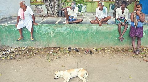 Residents sit under a banyan tree at Kyataganacharulu village in Pavagada taluk | ASHISHKRISHNA HP