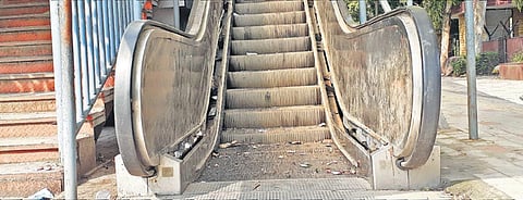 Side railings are missing on the foot overbridge in Nehru Nagar; even saplings are not spared. (Photo | Express)