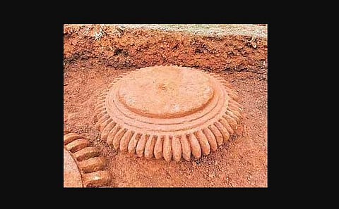 The ‘amalakas’ that were found in the north-east direction of Sari Deula on Friday  | Express