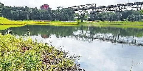 A water body polluted by oily discharge released from MRPL at Thokur in Mangaluru