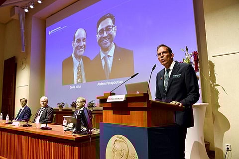Thomas Perlmann, Secretary of the Nobel Assembly and the Nobel Committee, announces the winners of the 2021 Nobel Prize in Physiology or Medicine during a press conference. (Photo | AP)