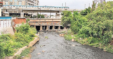Musi river (File Photo| S Senbagapandiyan, EPS)