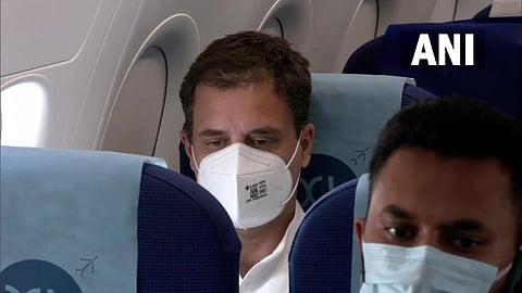 Rahul Gandhi in a flight enroute Lucknow to meet victims' families. (Photo | ANI)