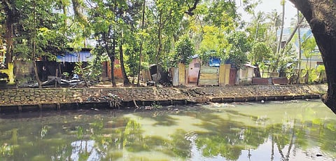 Encroachment along the banks of Parvathy Puthanar | FILE PIC
