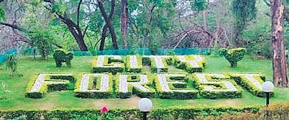 Chandigarh Diary