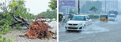 Heavy rains lash Tirupati, Nellore