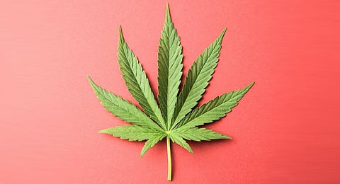 Police seize 2.68 kg ganja, arrest three of same family