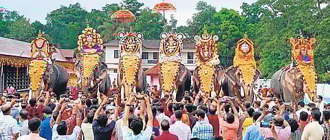 Elephant parade held at Thuravoor temple as part of the Deepavali festival