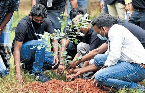 With their volunteer network, Hara Jeevan is currently building an urban forest in Vikaspuri, West Delhi. (Photo| EPS)
