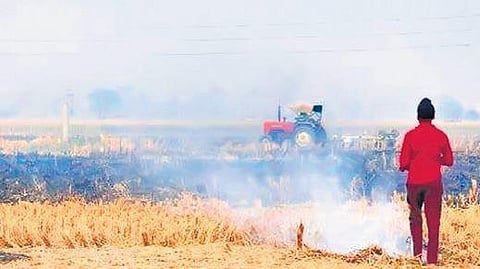 Stubble burning is banned but many farmers continue to flout it.