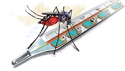 Image used for representation