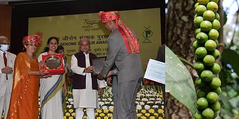 Left, N Poonacha receiving the award at the ceremony in New Delhi. Right, Snapshot of the  indigenous 'Adi Pepper' spikes.