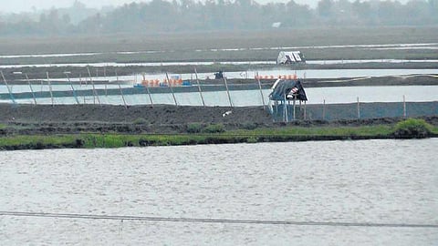 Illegal prawn gheries on the seaside of Bhitarkanika National Park. (Photo| EPS)