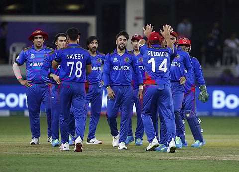 Afghanistan to host Netherlands in Qatar in January for three-match ODI series