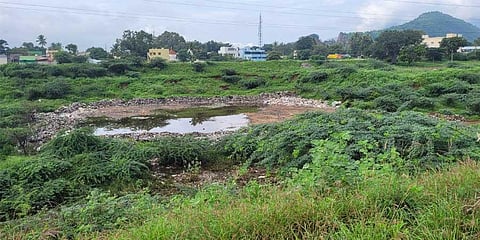 Good rains but Chinnavedampatti lake in Coimbatore still dry