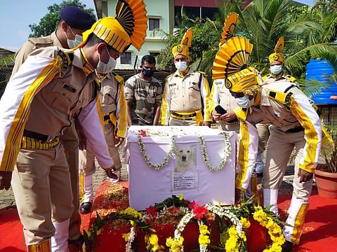 Dog that sniffed out bomb at Mangaluru Airport dies