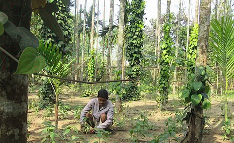 Image used for representational purpose only.