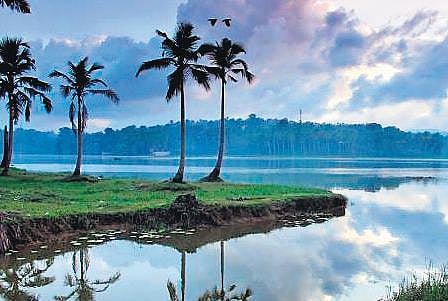 Rs 96 crore allocated for Vellayani lake revival