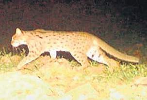 Image used for representational purpose only.