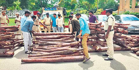 Anantapur police stop smuggling of Rs 1.5 crore red sanders logs to China