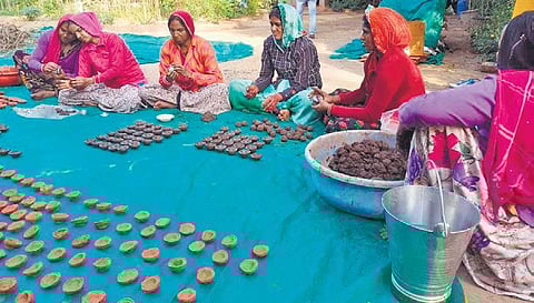 The bricks have been named Narmada Vitamin Lick and Narmada Min. (Photo| EPS)