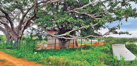 The site allotted to senior citizen Jagadeeeshwari in Kempegowda Layout.