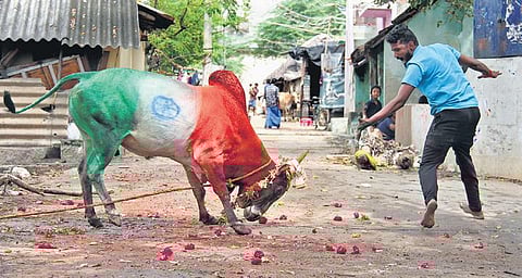 (Photo | KK Sundar, EPS)