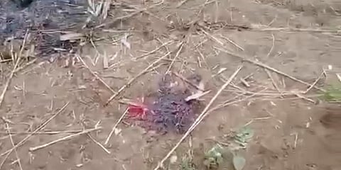 Myanmar government rebuts massacre reports as 'conspiracy'