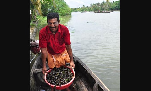 A fisherman harvesting black clams in the Vembanad Lake. (Photo | EPS)