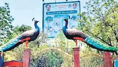 The entrance of the KBR Park