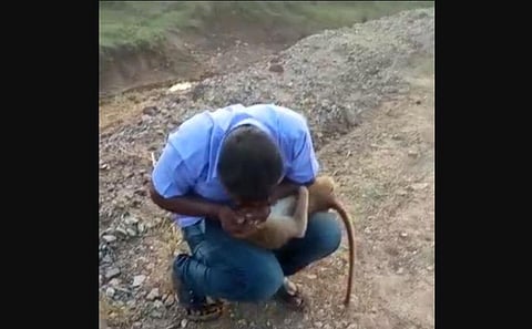 The monkey was said to be eight months old.