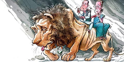 If the family fails to loosen its grip, the party will suffer the same fate as the aged, limping lion of Serengeti. (Express Illustration | Soumyadip Sinha)
