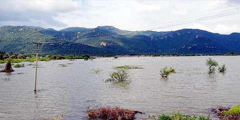 A brimming big lake at Ladapuram village in Perambalur district. (Photo | EPS)