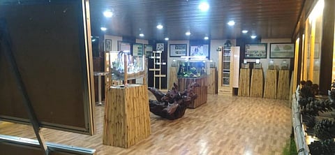 The main feature of this biodiversity gallery is depiction of 101 icons of state's biodiversity showing threat status, and information about habitat and ecological role/uses. (Photo | EPS)