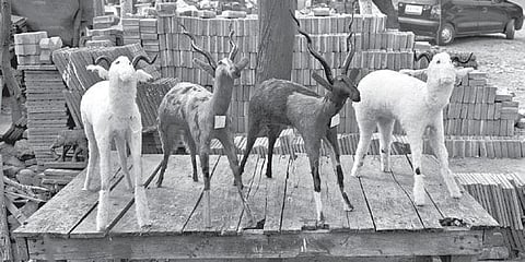 ‘New Delhi 2006 (b)’ from the ongoing series ‘Rememory, 2003’. (Photo | Gauri Gill)