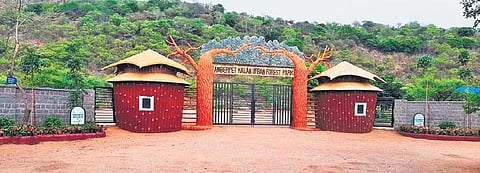 An urban forest block at Amberpet Kalan in Rangareddy district