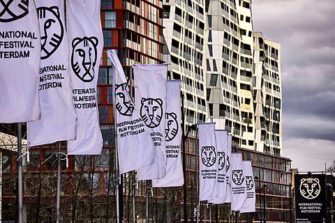 The 51st edition programme is scaled down and moved online in response to increased concerns about Covid-19 and lockdown in the Netherlands (Photo | IFFR)
