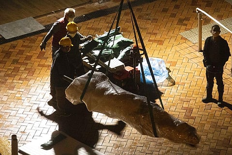 The 'Pillar of Shame' statue, a memorial for those killed in the 1989 Tiananmen crackdown, is removed from the University of Hong Kong. (Photo | AP)