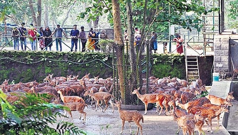 Image used for representational purposes.