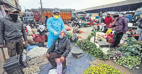 A health worker collects swab sample of a vendor at a market near Jammu on Thursday, Dec 23, 2021. (Photo | PTI)