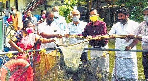 Members of the Sreedevi self-help group with the fish they farmed under the guidance of the CMFRI on Friday | Express
