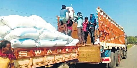 Traders and middlemen buy paddy from farmers in Balasore