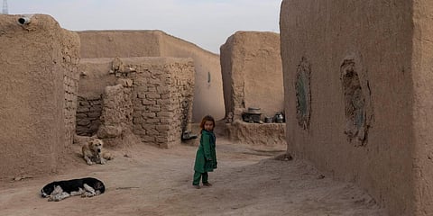 A young girl stand outside her home as two dogs lay on the ground in Kamar Kalagh village near Herat, Afghanistan. (File photo| AFP)