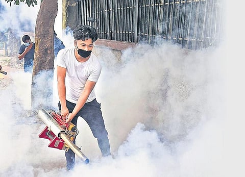 Representational image of dengue prevention measures. (Photo | Express)