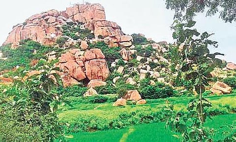 Will develop Anjanadri Hill on lines of Ayodhya: Bommai
