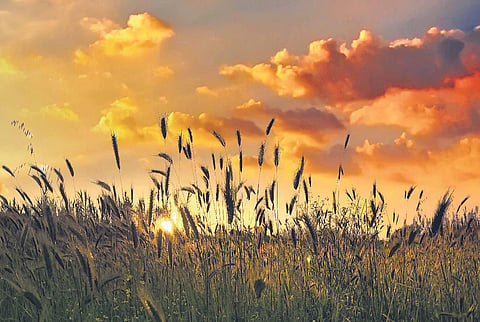 Image used for representational purposes.